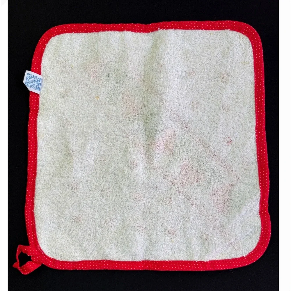 Sarah Lynn Strawberry Dish Cloth Set Vintage 70s Red White Cotton NWT Farmhouse
